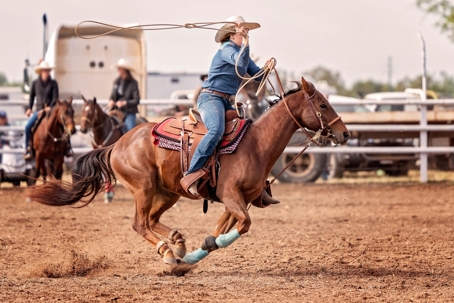 Female rider on horse